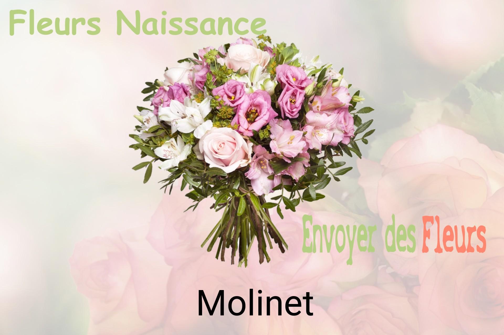 Bouquet de fleurs de naissance livré à Molinet
