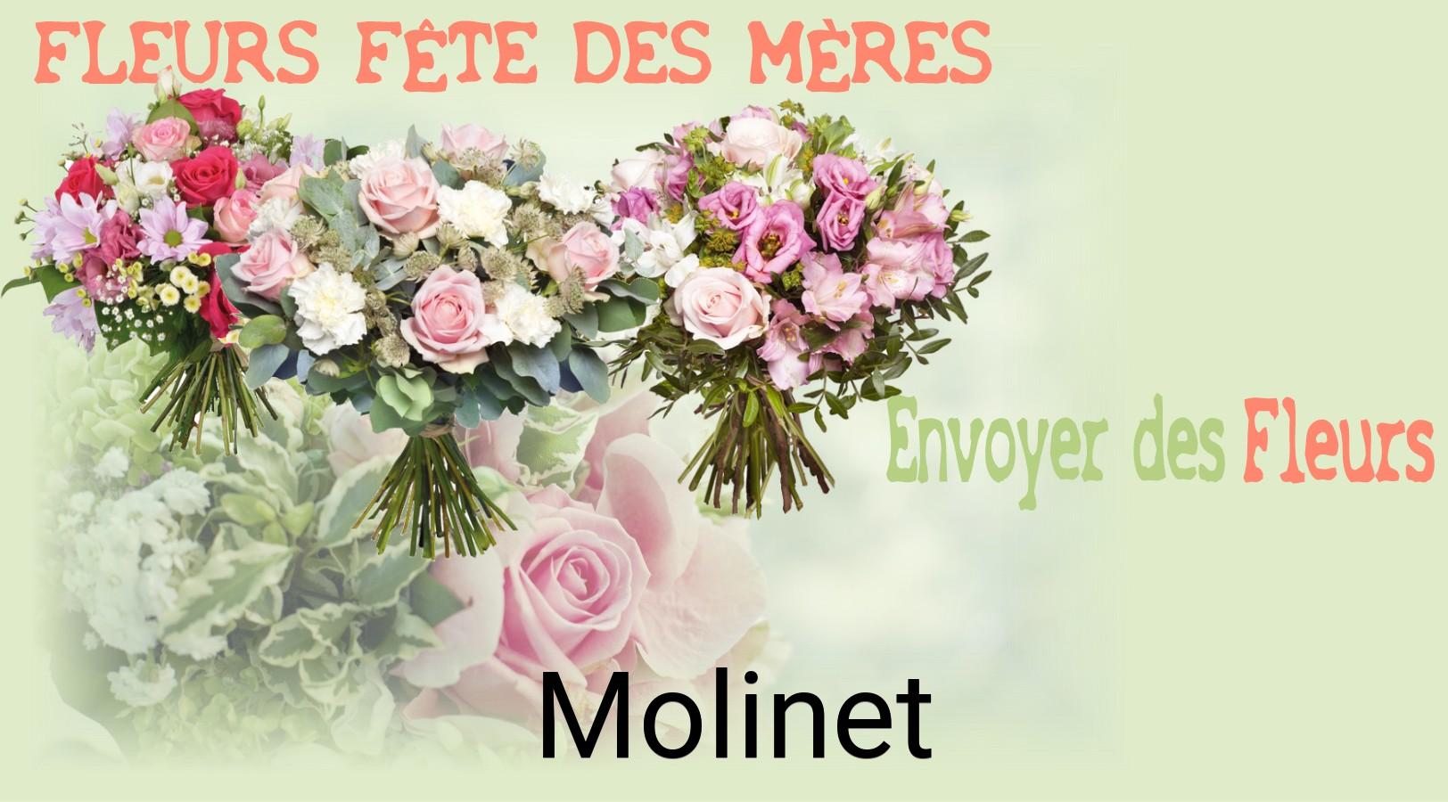 Bouquet de Fête des Mères livré à Molinet
